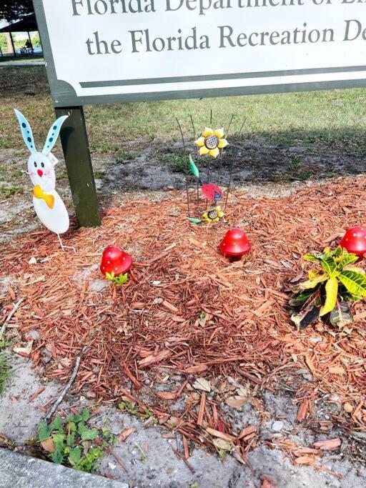 3Brdrm Home Near Downtown Orlando And Winterpark Esterno foto
